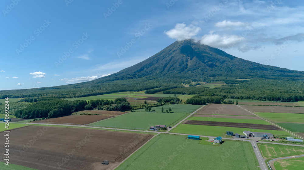 Fototapeta premium 羊蹄山と緑