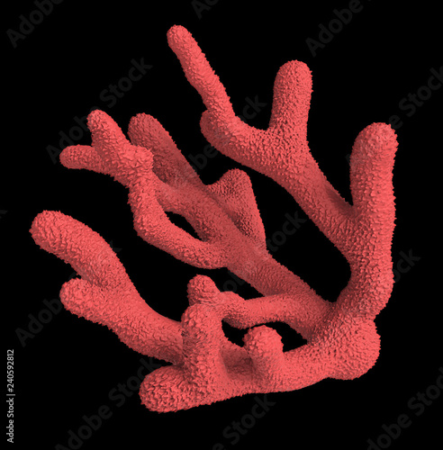 3D Illustration of a red coral isolated on black background.