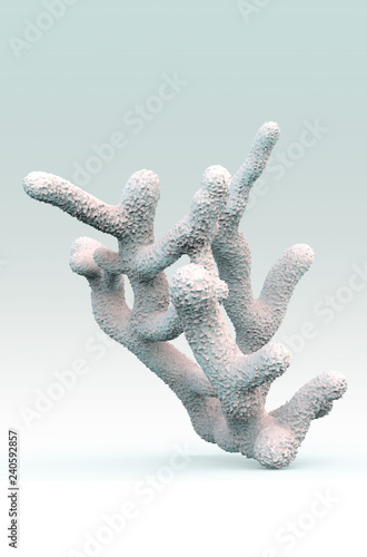 3D illustration of white coral on white background. Red Sea coral poster.