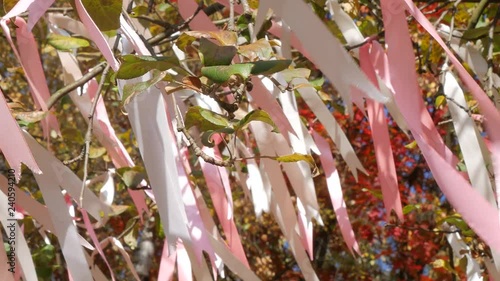 Colored ribbons to the Holy tree. photo