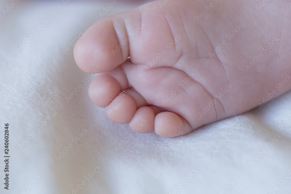 close up view of a newborn baby feet isolated on white close up view of a newborn baby feet isolated on white