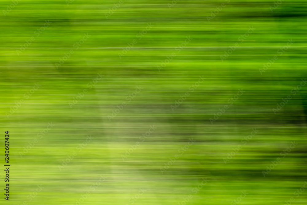 Nature in motion from the train window Nature in motion from the train window