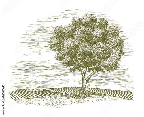 Woodcut Tree and Countryside