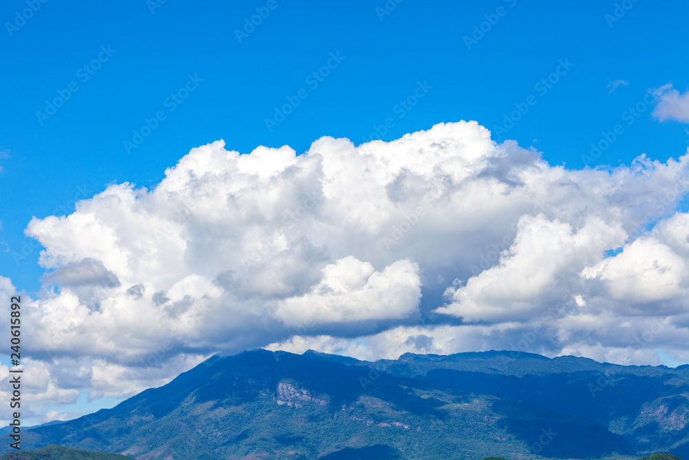 Obraz premium 夏 景色 風景