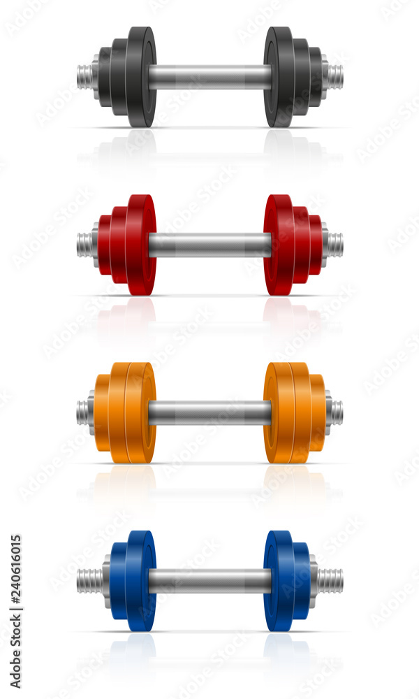 metal dumbbell for muscle building in gym vector illustration metal dumbbell for muscle building in gym vector illustration