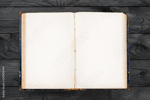 Old open book with blank pa...