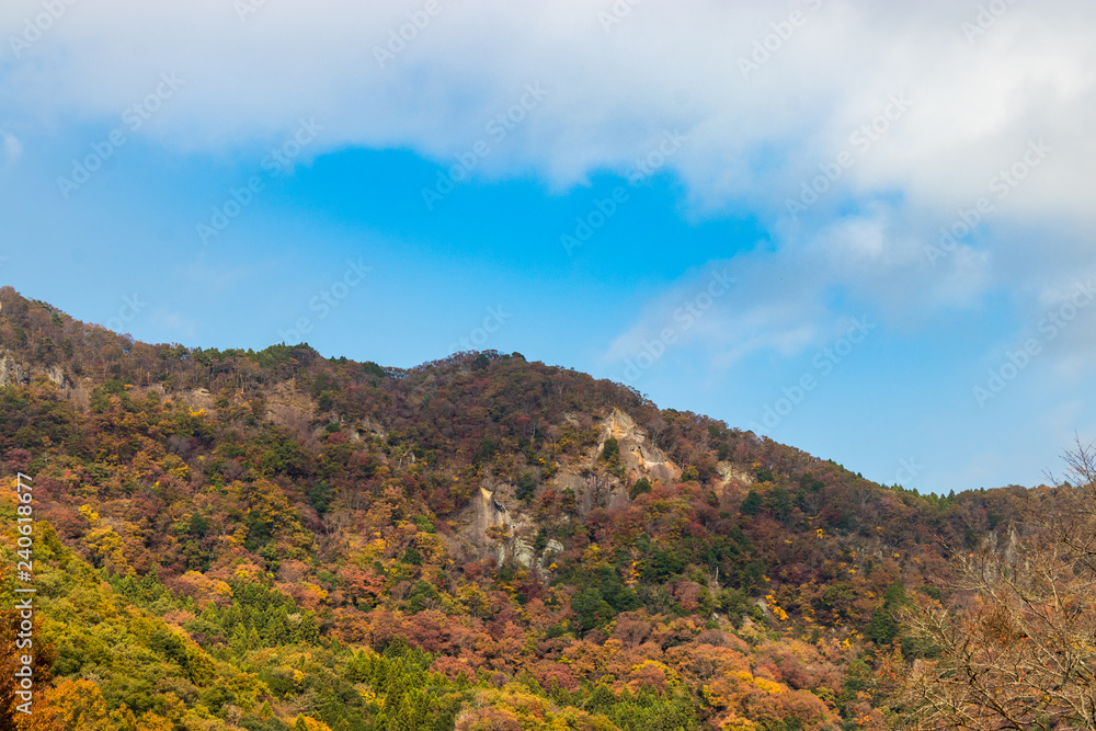 Autumn leaves of mountains in Japan / Daigo-town, Kuji-district, Ibaraki prefecture, Japan