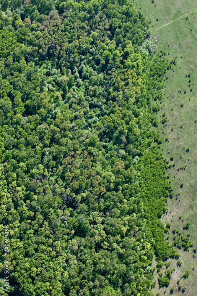 Aerial photo, forest, meadow.