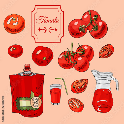 Collection of tomatoes  and other  hand drawn objects. Ink and colored sketch.