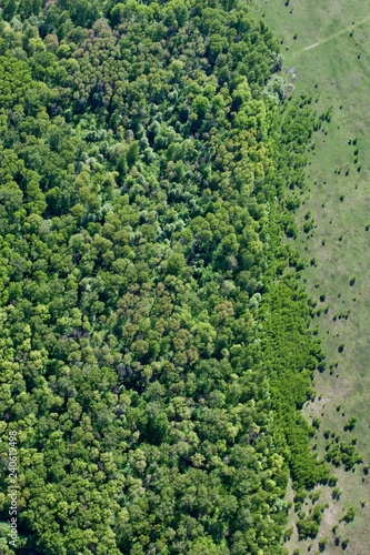Aerial photo, forest, meadow.