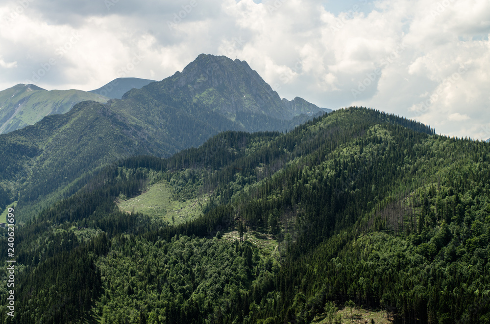 landscape with mountains and trees