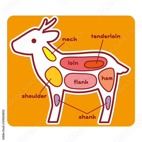 食物図解/鹿肉の部位（英語）