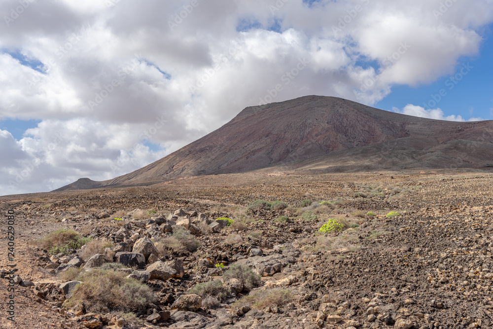 Panorama of landscape on Fuerteventura .