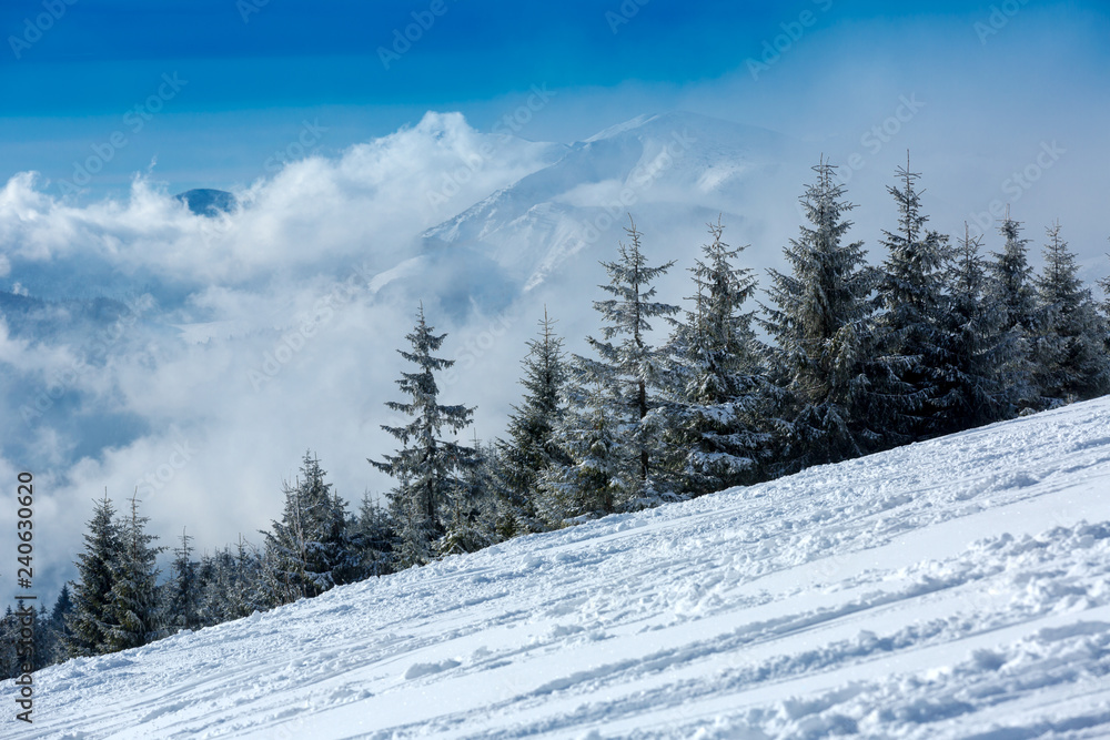 winter landscape in mountains