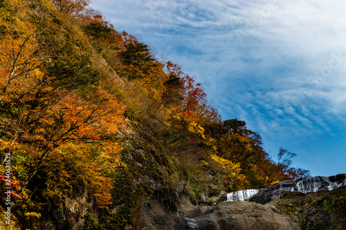Autumn leaves of Fukuroda Falls in Daigo-cho, Kuji-district, Ibaraki Prefecture, Japan / "Fukuroda Falls" which can be counted as one of Japan's top three waterfalls.
