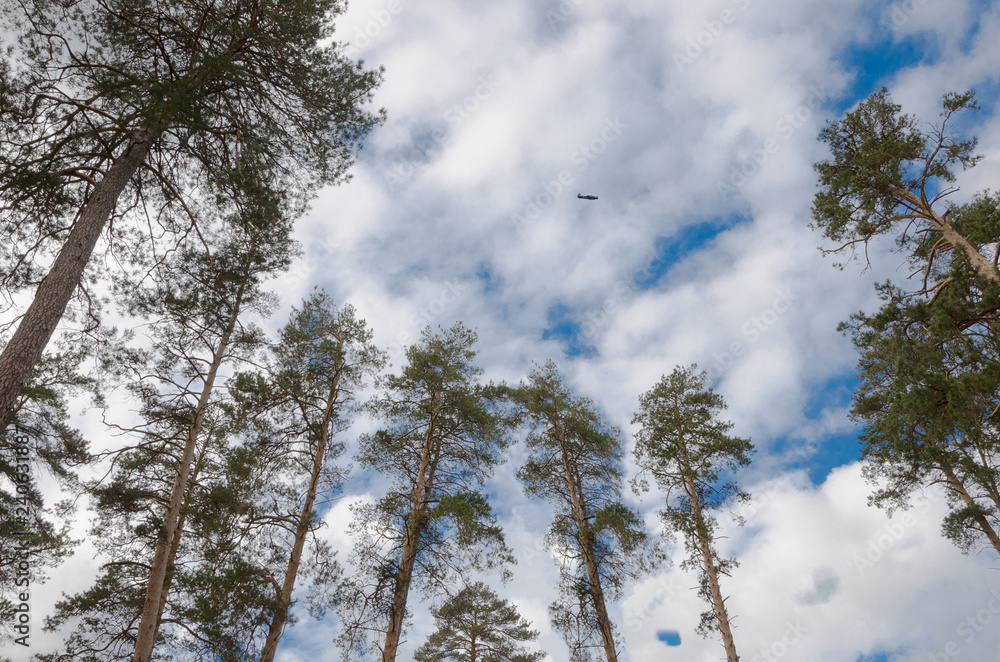 the plane among the trees in the sky the plane among the trees in the sky