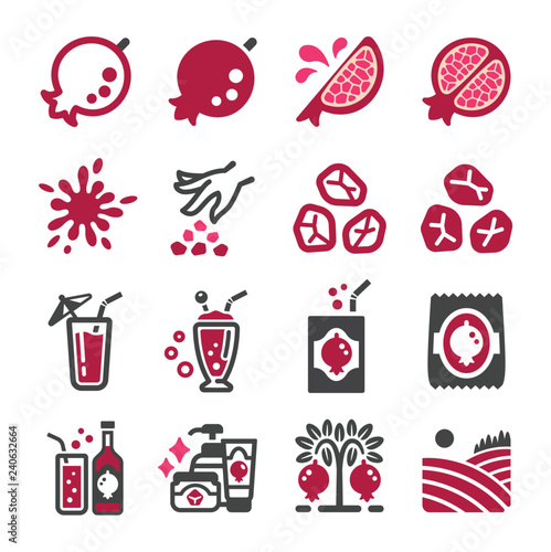pomegranate icon set,vector and illustration