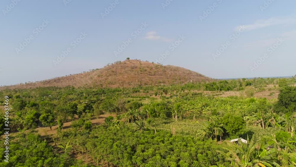 aerial view agricultural land with crops in countryside. farmland with agricultural crops in rural areas bali, indonesia aerial view agricultural land with crops in countryside. farmland with agricultural crops in rural areas bali, indonesia