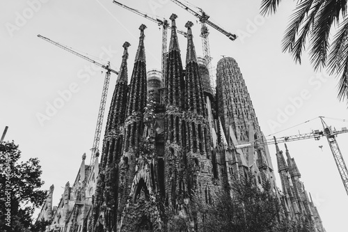 Sagrada Familia temple lookup, Barcelona