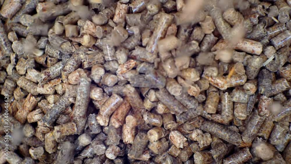 wooden pellets.processing of wood. wooden pellets.processing of wood.