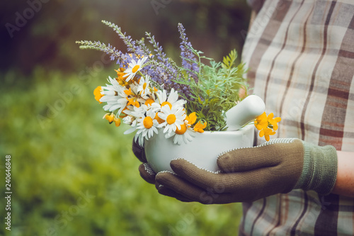 Obraz na plátně Woman holding in her hands a mortar of healing herbs