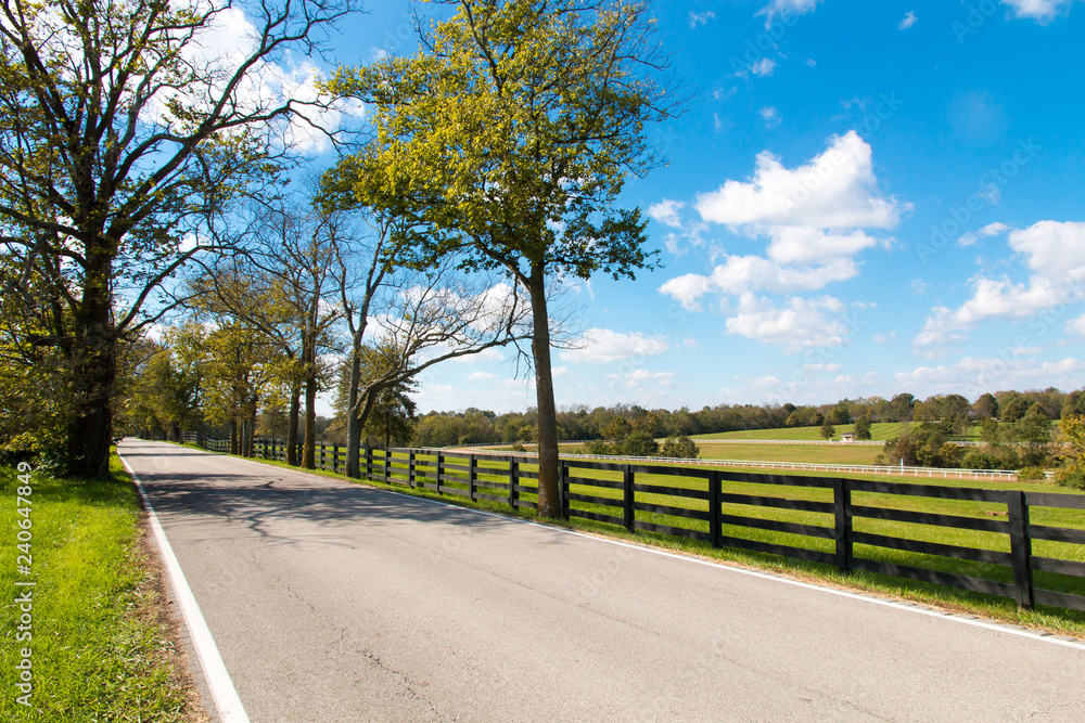 Country road along forse farms Country road along forse farms
