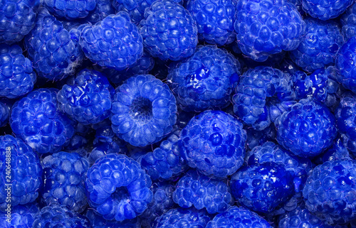 Many blue raspberries, background of berries, top view.