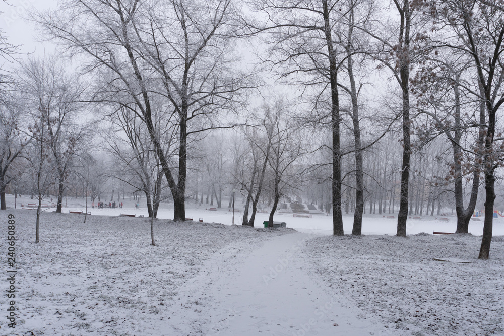 Snowy winter in the park in Minsk, Belarus