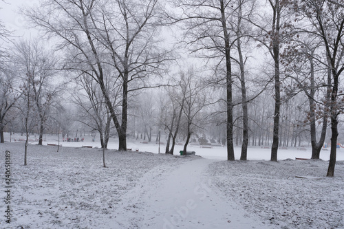 Snowy winter in the park in Minsk  Belarus