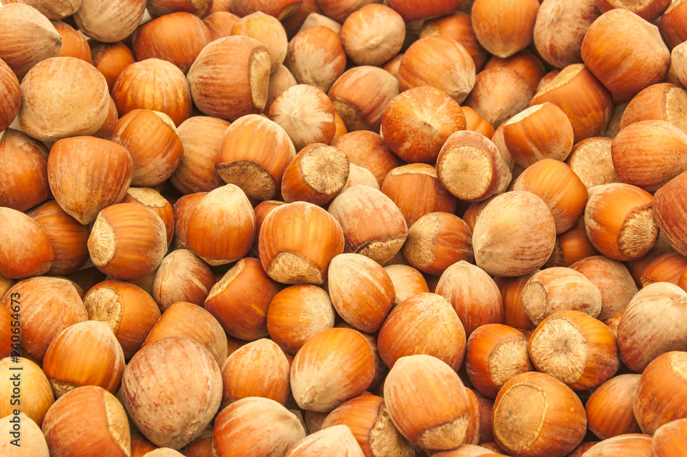 Hazelnut composition and backgorund. Hazelnut composition and backgorund.