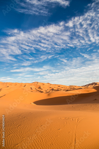 Vertical view of Sahara desert