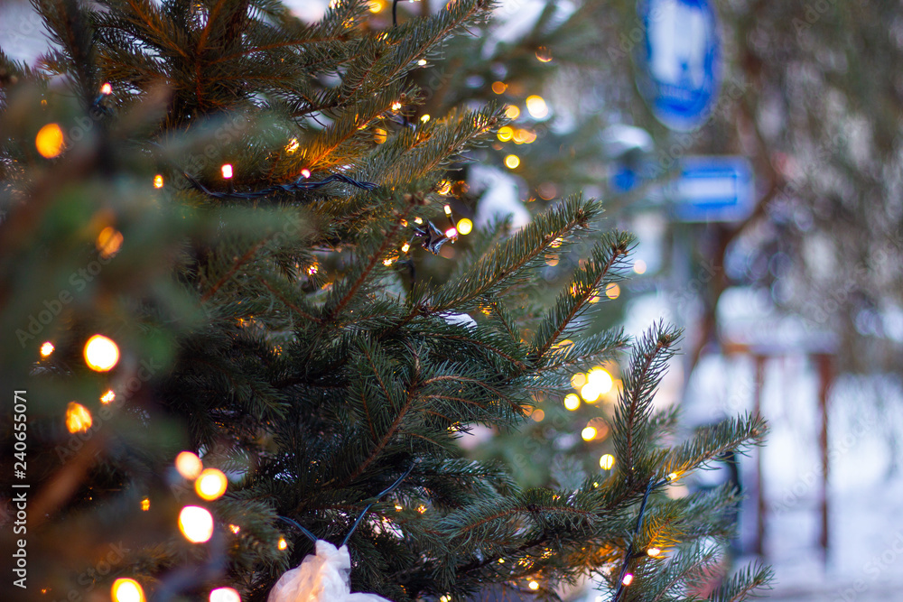 christmas tree closeup christmas tree closeup