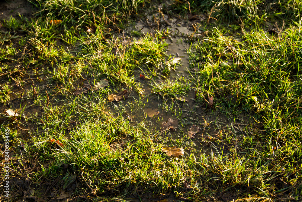 Fototapeta premium Mud