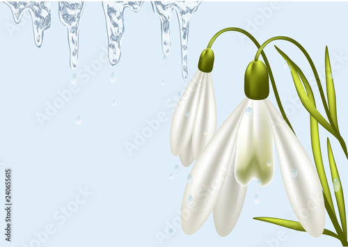 background with snowdrop