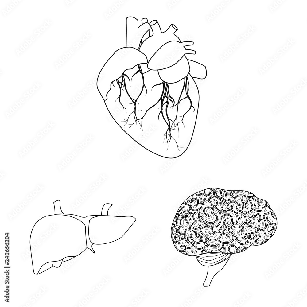 Vector illustration of body and human logo. Collection of body and medical stock symbol for web.