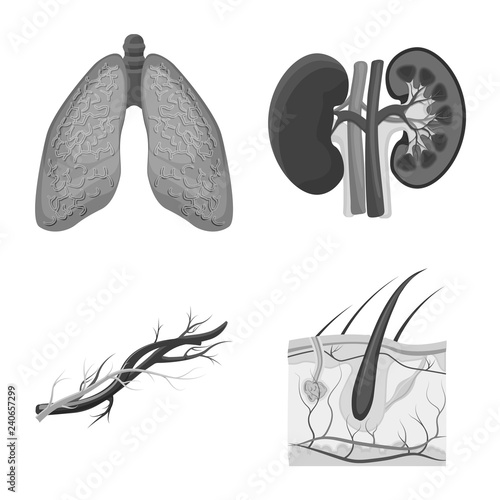 Vector illustration of body and human logo. Collection of body and medical vector icon for stock.