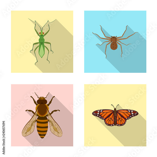 Isolated object of insect and fly logo. Set of insect and element stock symbol for web.
