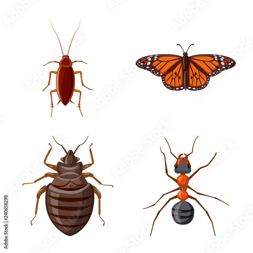 Vector design of insect and fly symbol. Collection of insect and element vector icon for stock.