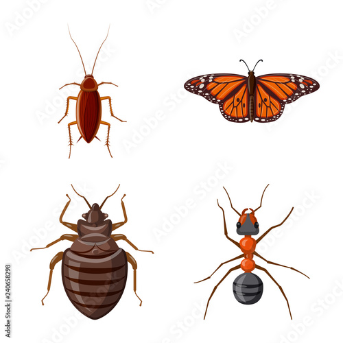 Vector design of insect and fly symbol. Collection of insect and element vector icon for stock. © Svitlana