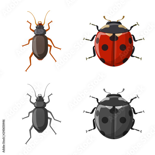 Vector design of insect and fly icon. Collection of insect and element stock symbol for web.