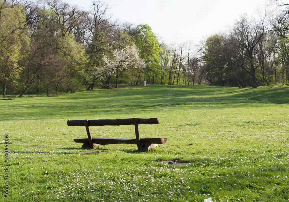 An old wooden bench in a beautiful park.
