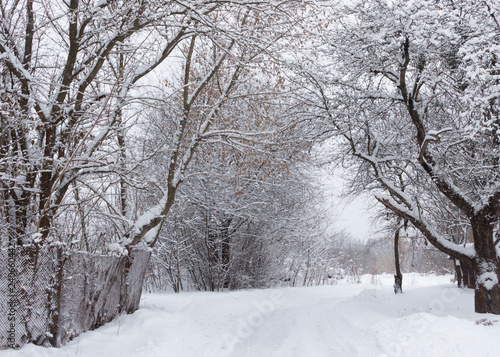 Snow-covered village street with old wooden fences