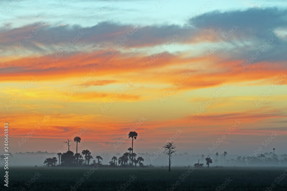 Big Cypress National Preserve, Florida at dawn Big Cypress National Preserve, Florida at dawn
