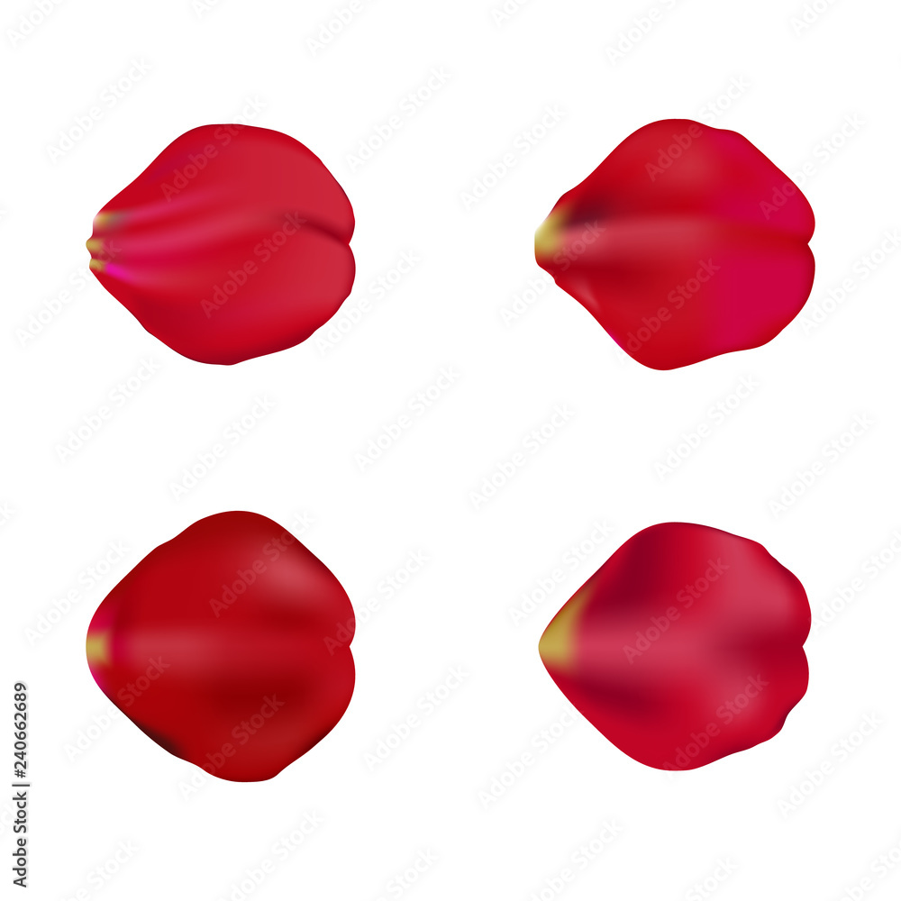 Red rose petals set, isolated on white, vector illustration