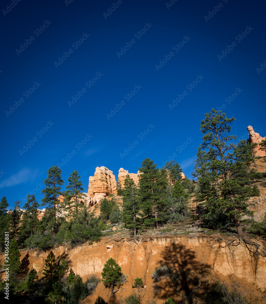 Obraz premium Bryce Canyon in Utah