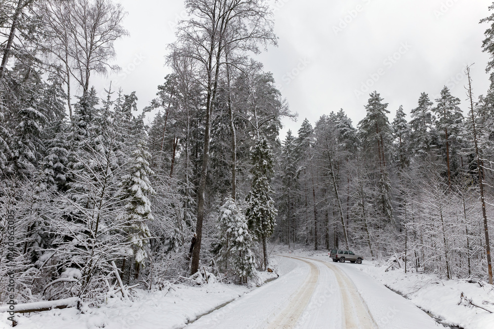 Road at white winter landscape in the forest Road at white winter landscape in the forest