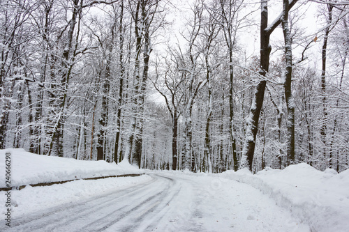 the road in the winter forest and trees in the snow on a cloudy day © maykal