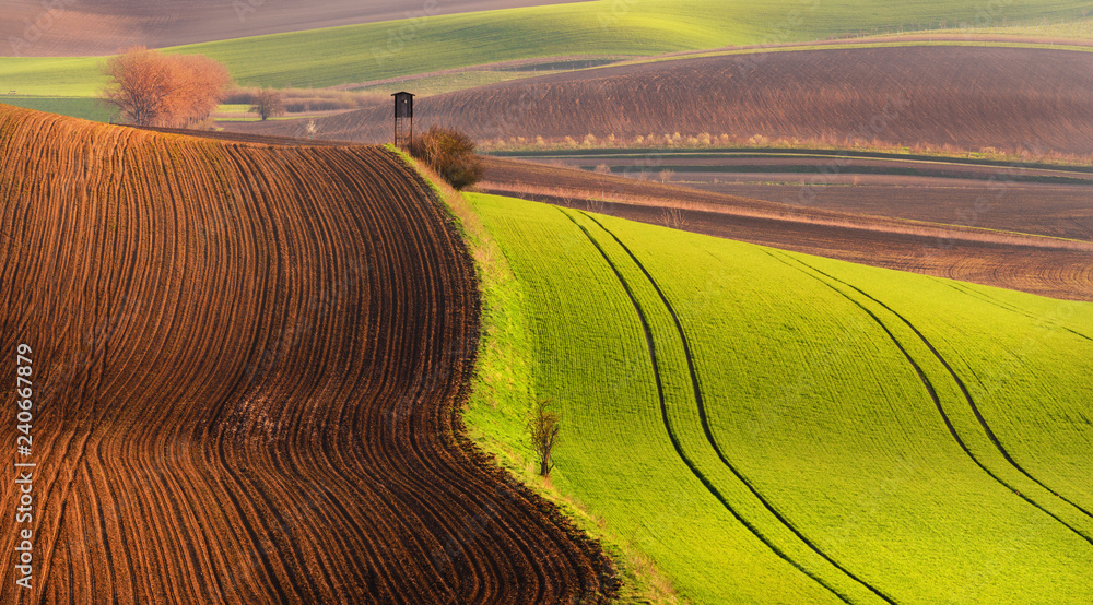Multicolored European Countryside Spring Landscape With Green Field Of Corn, Wavy Brown Cultivated Plowed Earth And Hunting Tower. Picturesque And Unusual Czech Agricultural Landscape In Tan Tones.