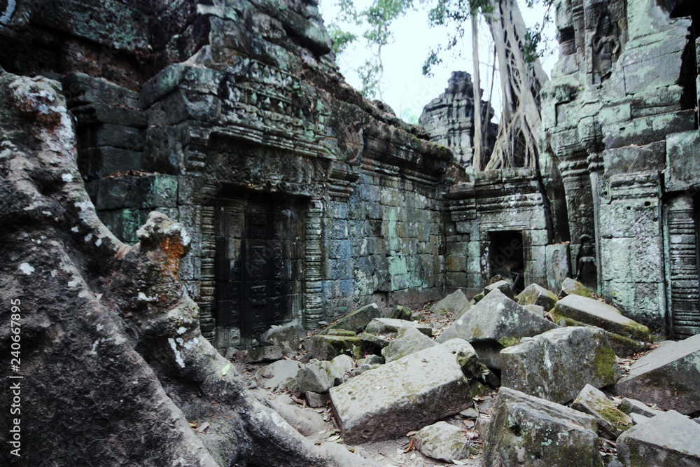 Ruins in Ta Prohm Temple (Cambodia, Angkor Wat).