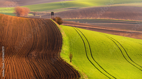 Obraz na płótnie Multicolored European Countryside Spring Landscape With Green Field Of Corn, Wavy Brown Cultivated Plowed Earth And Hunting Tower. Picturesque And Unusual Czech Agricultural Landscape In Tan Tones. w salonie